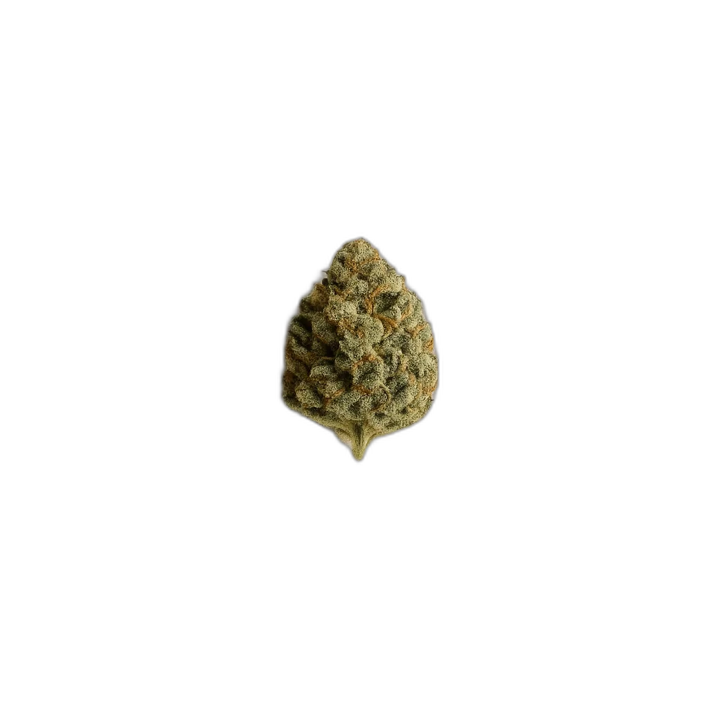 Cannabis médical